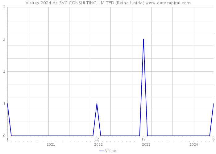 Visitas 2024 de SVG CONSULTING LIMITED (Reino Unido) 