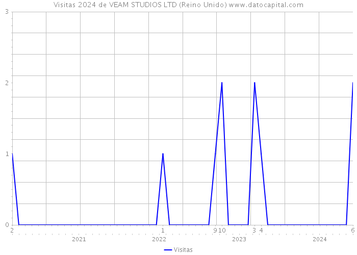 Visitas 2024 de VEAM STUDIOS LTD (Reino Unido) 