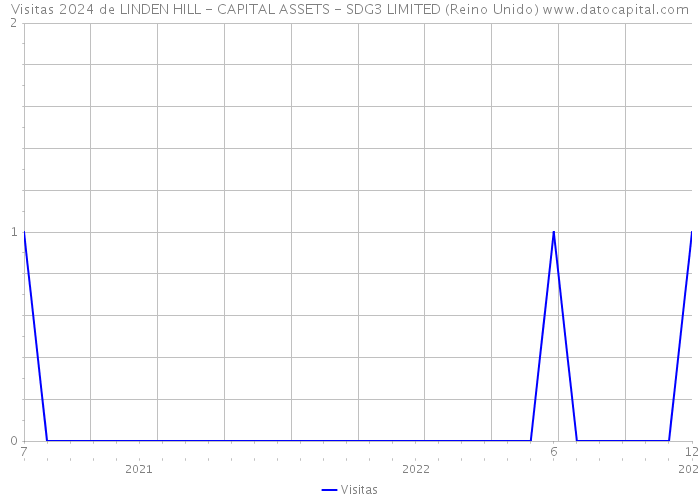 Visitas 2024 de LINDEN HILL - CAPITAL ASSETS - SDG3 LIMITED (Reino Unido) 