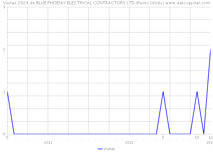 Visitas 2024 de BLUE PHOENIX ELECTRICAL CONTRACTORS LTD (Reino Unido) 