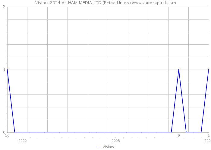 Visitas 2024 de HAM MEDIA LTD (Reino Unido) 