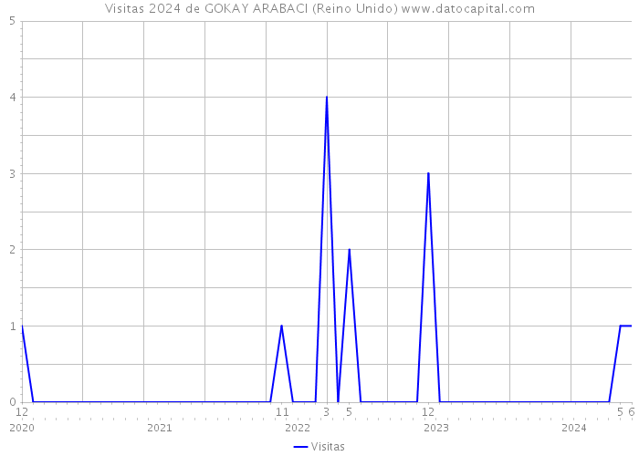 Visitas 2024 de GOKAY ARABACI (Reino Unido) 