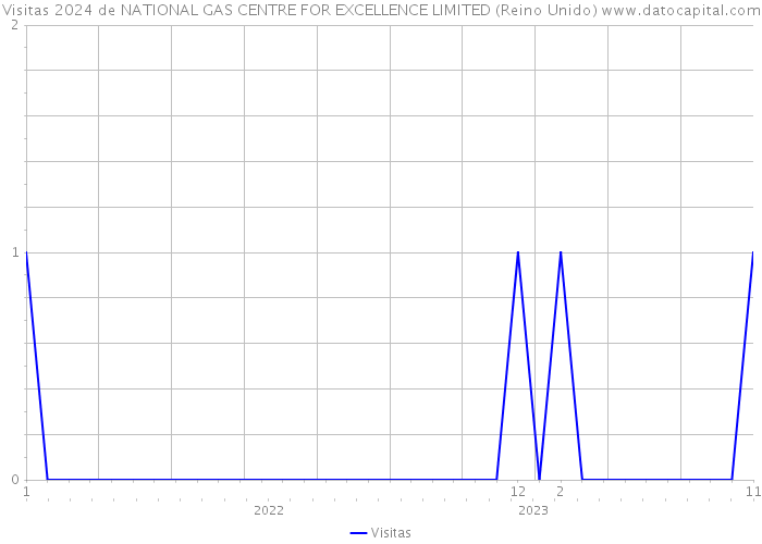 Visitas 2024 de NATIONAL GAS CENTRE FOR EXCELLENCE LIMITED (Reino Unido) 