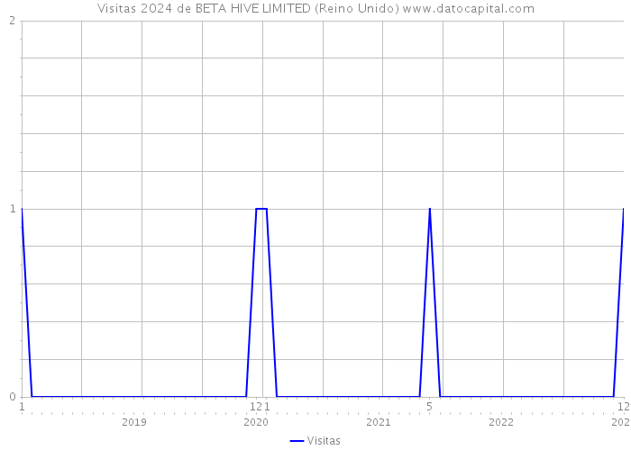 Visitas 2024 de BETA HIVE LIMITED (Reino Unido) 