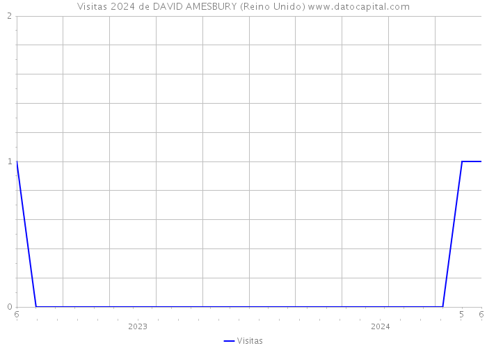 Visitas 2024 de DAVID AMESBURY (Reino Unido) 