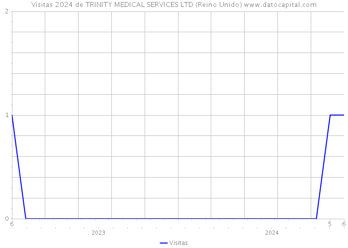 Visitas 2024 de TRINITY MEDICAL SERVICES LTD (Reino Unido) 