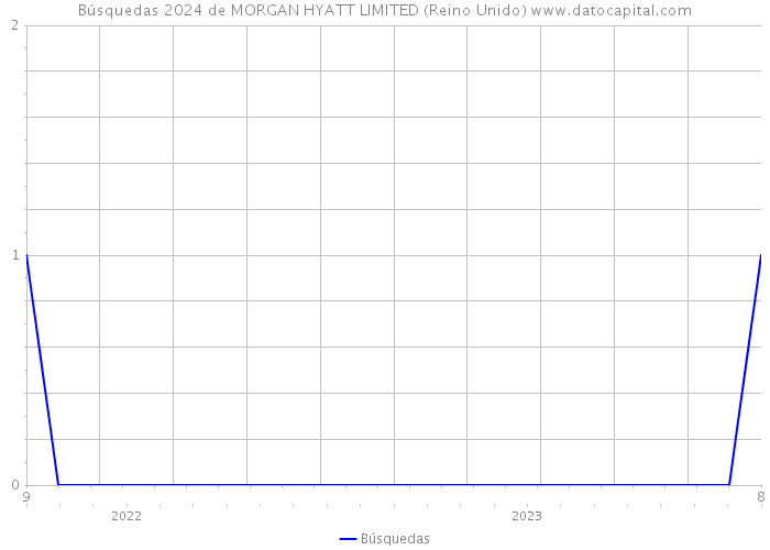 Búsquedas 2024 de MORGAN HYATT LIMITED (Reino Unido) 