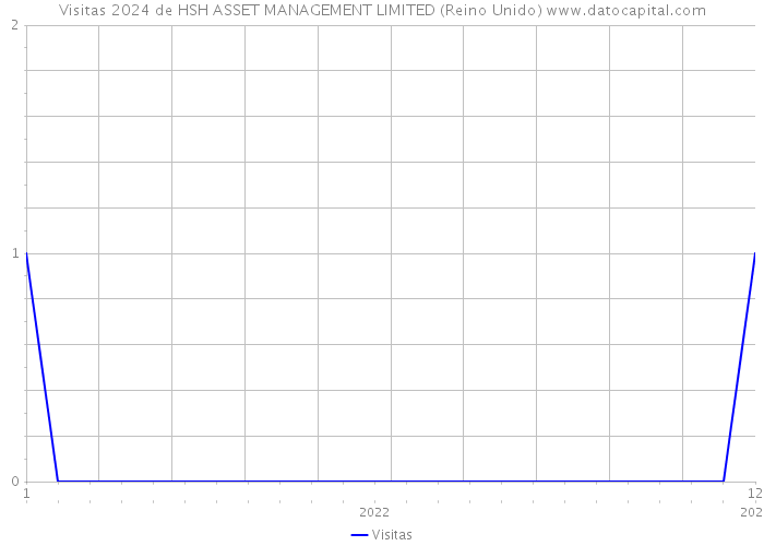 Visitas 2024 de HSH ASSET MANAGEMENT LIMITED (Reino Unido) 