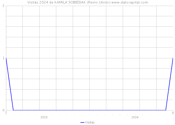 Visitas 2024 de KAMILA SOBIESIAK (Reino Unido) 