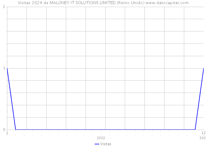 Visitas 2024 de MALONEY IT SOLUTIONS LIMITED (Reino Unido) 