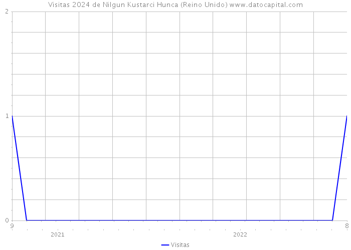 Visitas 2024 de Nilgun Kustarci Hunca (Reino Unido) 