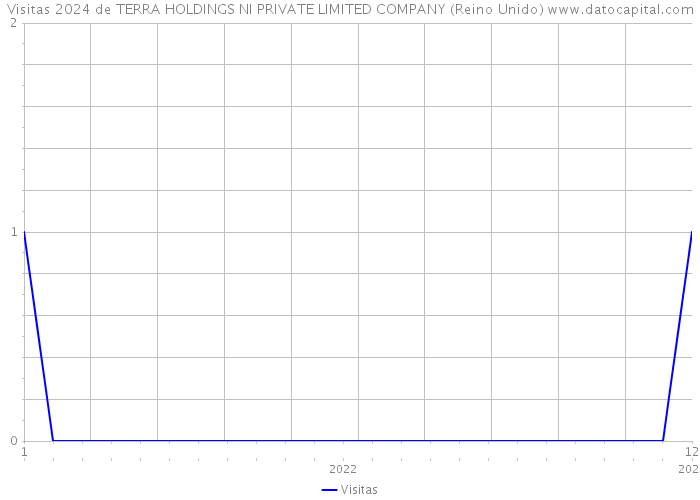 Visitas 2024 de TERRA HOLDINGS NI PRIVATE LIMITED COMPANY (Reino Unido) 