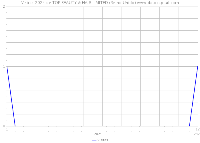 Visitas 2024 de TOP BEAUTY & HAIR LIMITED (Reino Unido) 