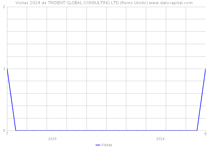 Visitas 2024 de TRIDENT GLOBAL CONSULTING LTD (Reino Unido) 