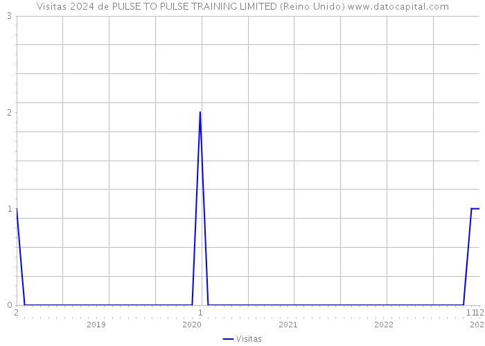 Visitas 2024 de PULSE TO PULSE TRAINING LIMITED (Reino Unido) 