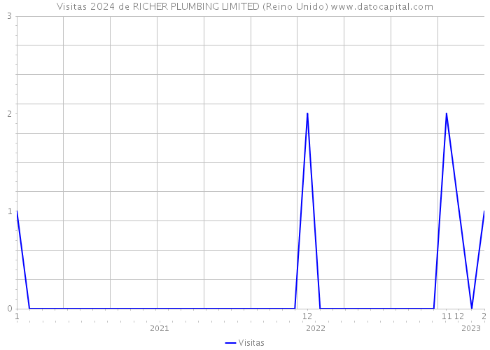 Visitas 2024 de RICHER PLUMBING LIMITED (Reino Unido) 