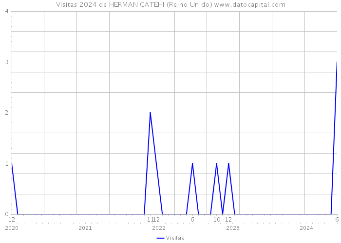 Visitas 2024 de HERMAN GATEHI (Reino Unido) 