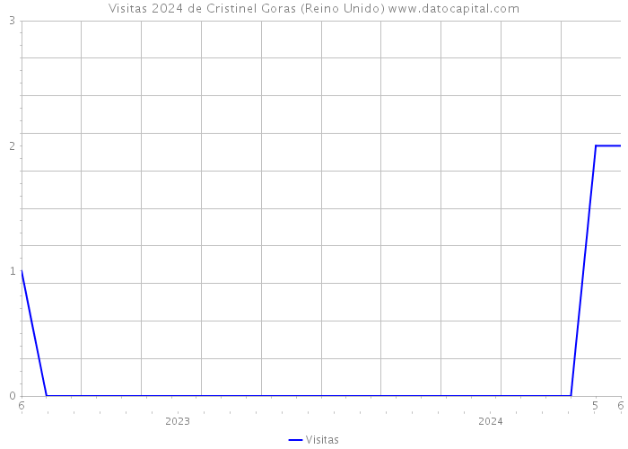 Visitas 2024 de Cristinel Goras (Reino Unido) 