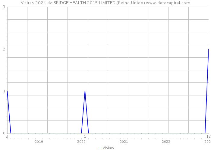 Visitas 2024 de BRIDGE HEALTH 2015 LIMITED (Reino Unido) 