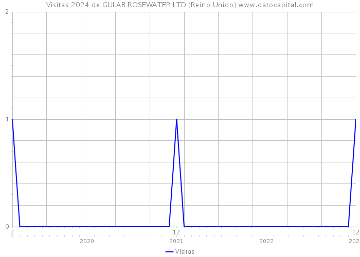 Visitas 2024 de GULAB ROSEWATER LTD (Reino Unido) 