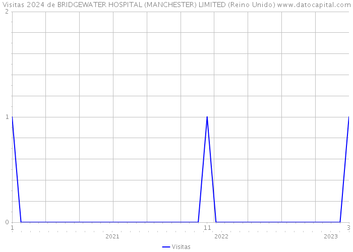 Visitas 2024 de BRIDGEWATER HOSPITAL (MANCHESTER) LIMITED (Reino Unido) 