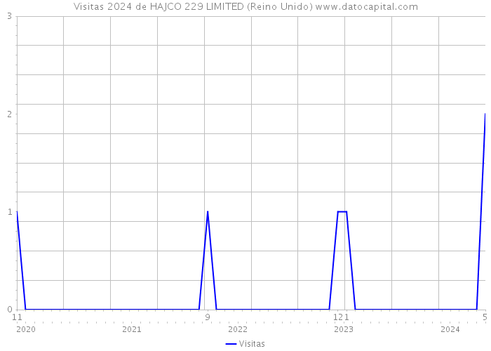 Visitas 2024 de HAJCO 229 LIMITED (Reino Unido) 