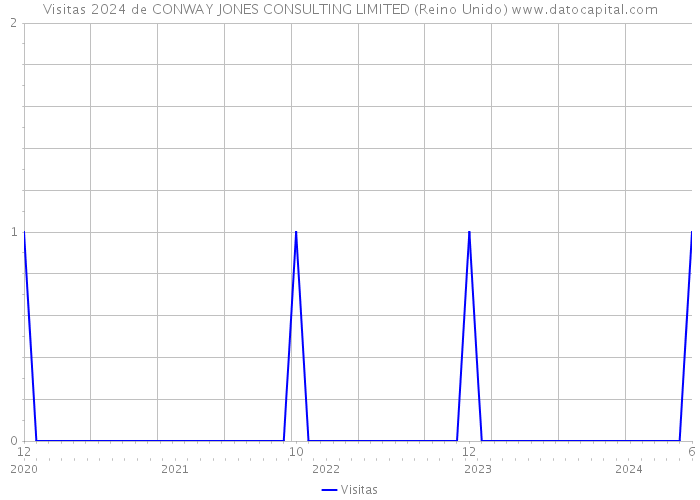 Visitas 2024 de CONWAY JONES CONSULTING LIMITED (Reino Unido) 