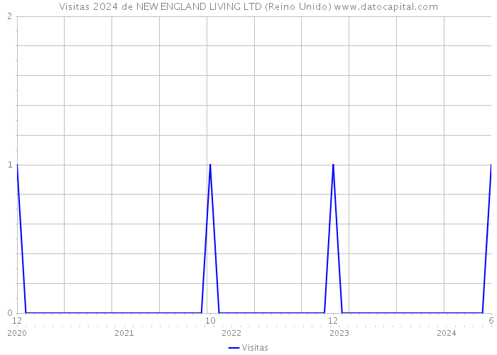 Visitas 2024 de NEW ENGLAND LIVING LTD (Reino Unido) 