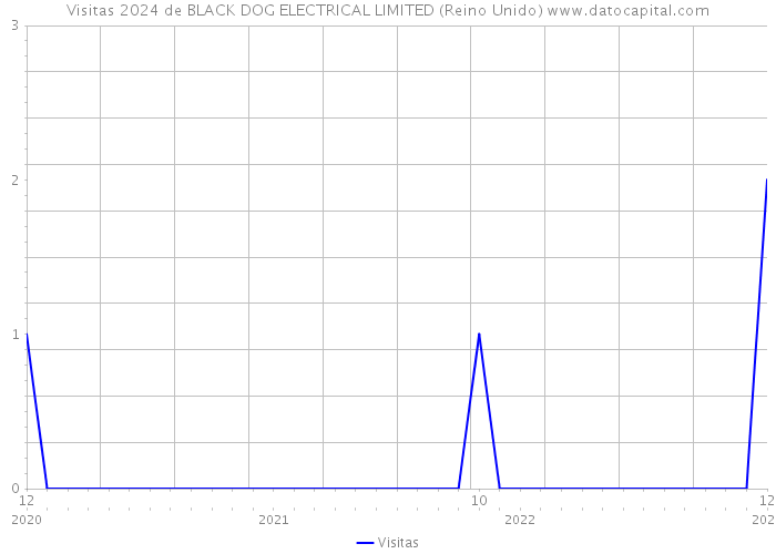 Visitas 2024 de BLACK DOG ELECTRICAL LIMITED (Reino Unido) 