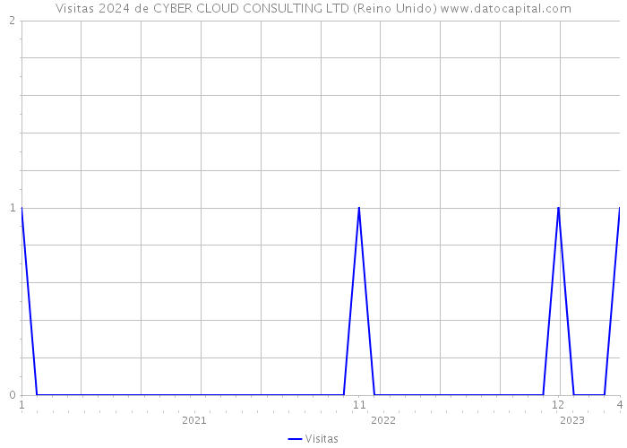 Visitas 2024 de CYBER CLOUD CONSULTING LTD (Reino Unido) 