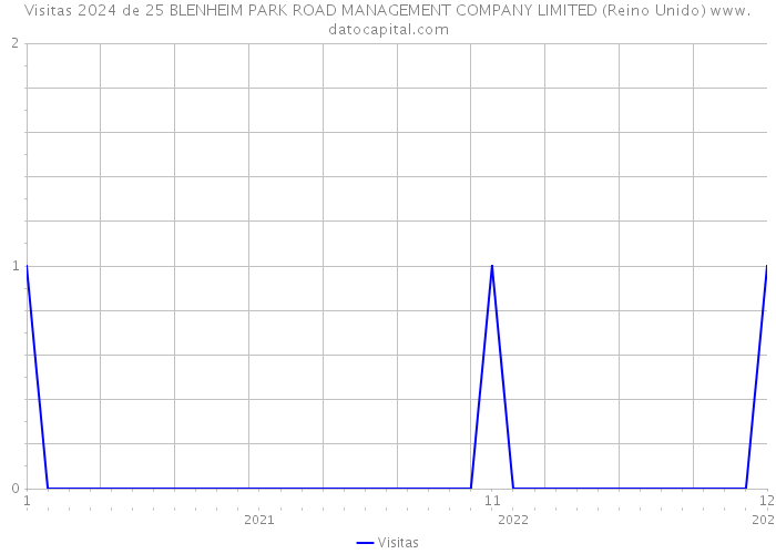 Visitas 2024 de 25 BLENHEIM PARK ROAD MANAGEMENT COMPANY LIMITED (Reino Unido) 