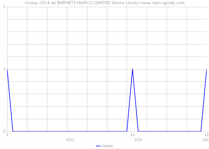 Visitas 2024 de BARNETS HAIRCO LIMITED (Reino Unido) 