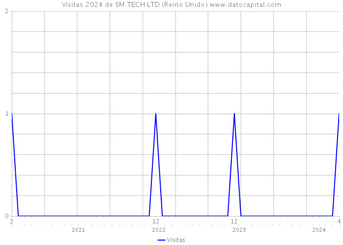 Visitas 2024 de SM TECH LTD (Reino Unido) 