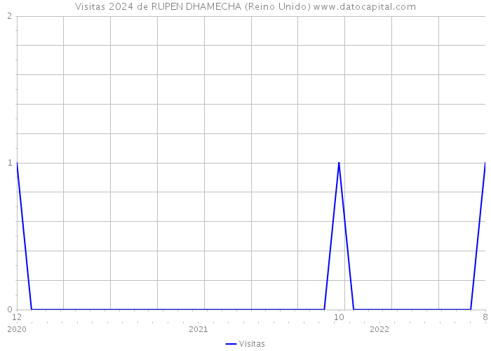 Visitas 2024 de RUPEN DHAMECHA (Reino Unido) 