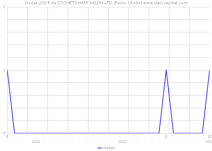 Visitas 2024 de CYGNETS HAIR SALON LTD (Reino Unido) 