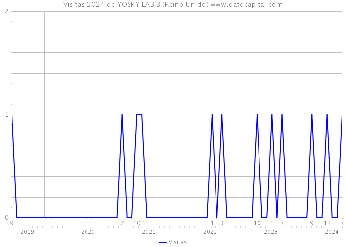 Visitas 2024 de YOSRY LABIB (Reino Unido) 