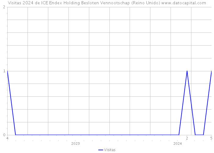 Visitas 2024 de ICE Endex Holding Besloten Vennootschap (Reino Unido) 