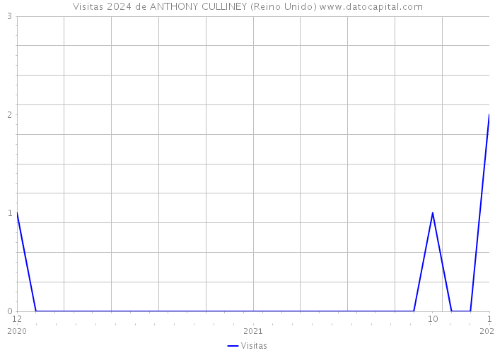 Visitas 2024 de ANTHONY CULLINEY (Reino Unido) 