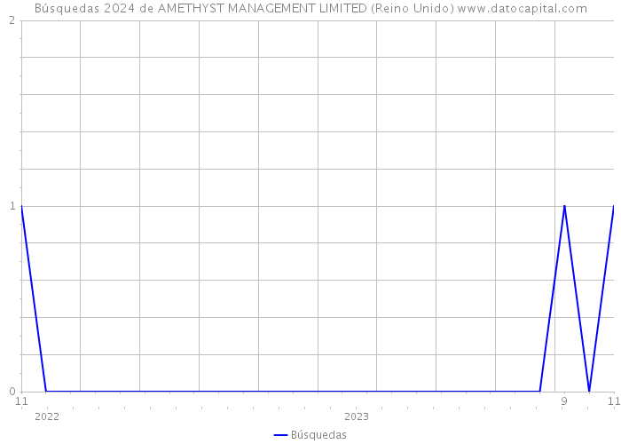 Búsquedas 2024 de AMETHYST MANAGEMENT LIMITED (Reino Unido) 