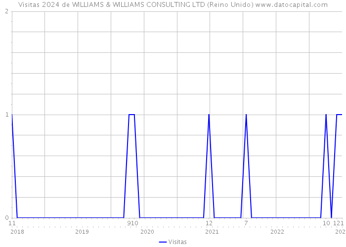 Visitas 2024 de WILLIAMS & WILLIAMS CONSULTING LTD (Reino Unido) 