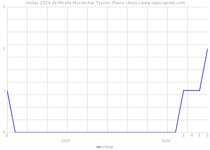 Visitas 2024 de Moshe Mordechai Tessler (Reino Unido) 