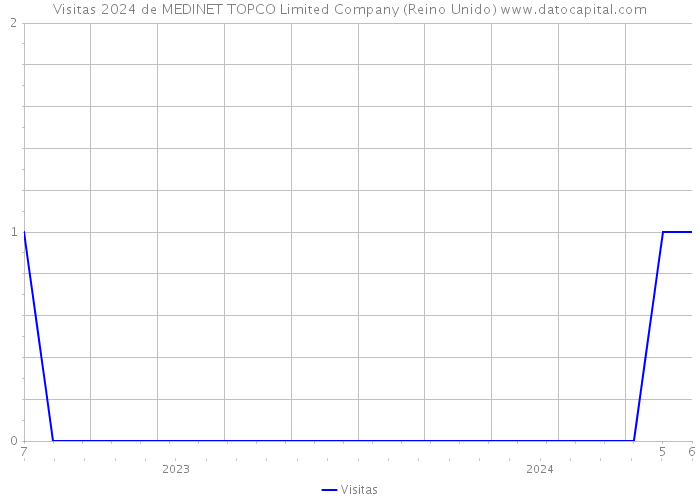 Visitas 2024 de MEDINET TOPCO Limited Company (Reino Unido) 
