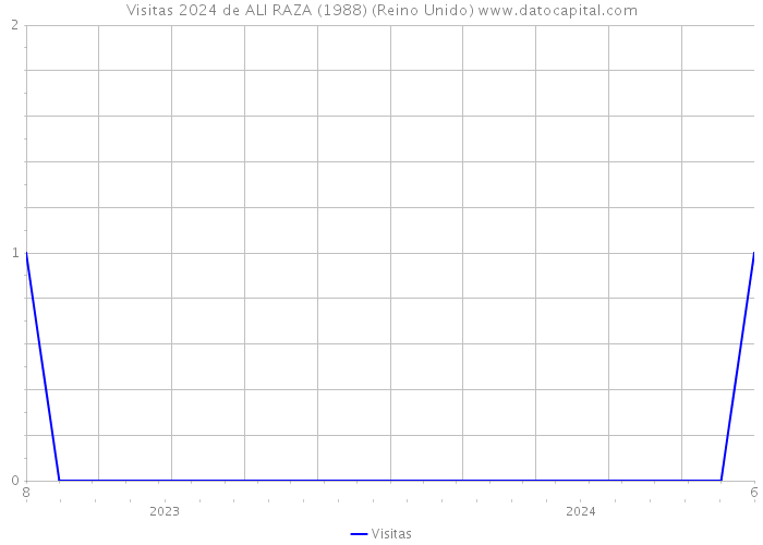 Visitas 2024 de ALI RAZA (1988) (Reino Unido) 