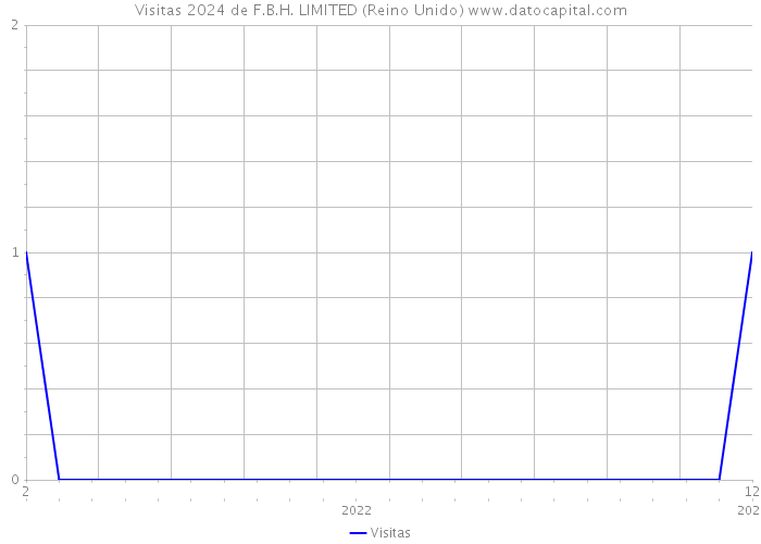 Visitas 2024 de F.B.H. LIMITED (Reino Unido) 