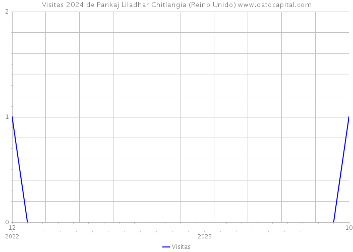 Visitas 2024 de Pankaj Liladhar Chitlangia (Reino Unido) 