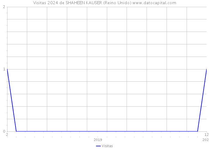 Visitas 2024 de SHAHEEN KAUSER (Reino Unido) 