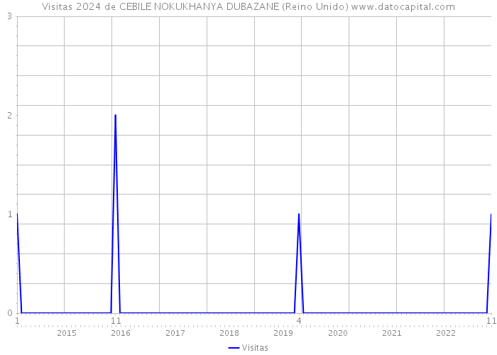 Visitas 2024 de CEBILE NOKUKHANYA DUBAZANE (Reino Unido) 