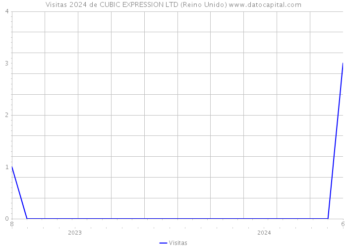 Visitas 2024 de CUBIC EXPRESSION LTD (Reino Unido) 