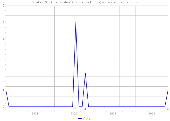 Visitas 2024 de Shulem Cik (Reino Unido) 