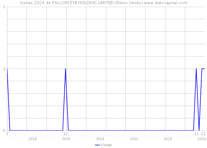 Visitas 2024 de FALCON EYE HOLDING LIMITED (Reino Unido) 